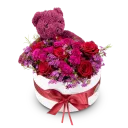 Magenta Teddy